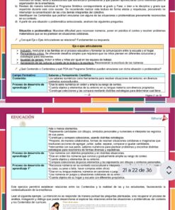 Orientaciones para la Fase Intensiva CTE 2026 - 2027 (Preescolar) 8 Screenshot 20260814 201234.Drive2