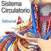 sistema-circulatorio-humano-y-su-funcion