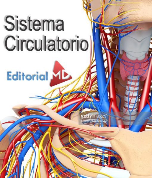 sistema-circulatorio-humano-y-su-funcion