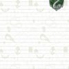 Slytherin4