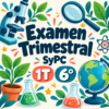 Examen SyPC 1T 6° en base a Planeación Integradora