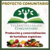 Un cartel titulado "Proyecto Comunitario" muestra un emblema con un árbol, un libro y el texto "Telebachillerato Comunitario". A continuación, destaca el "Proyecto Comunitario Telebachillerato Hortalizas Orgánicas" junto con una vibrante variedad de verduras en la parte inferior.