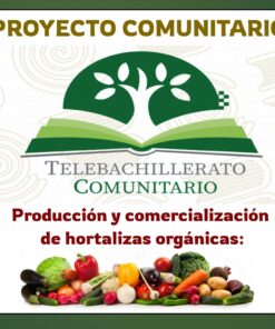 Un cartel titulado "Proyecto Comunitario" muestra un emblema con un árbol, un libro y el texto "Telebachillerato Comunitario". A continuación, destaca el "Proyecto Comunitario Telebachillerato Hortalizas Orgánicas" junto con una vibrante variedad de verduras en la parte inferior.