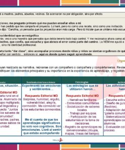 Una tabla didáctica en español guía a los alumnos en las tareas de reflexión después de un proyecto, incluyendo la organización de ideas, la expresión de sentimientos, la definición de estrategias y la propuesta de actividades. Sugiere la reflexión colaborativa y proporciona indicaciones en una cuadrícula.