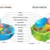 Taller la celula y sus partes