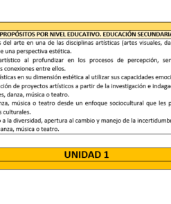 Un cuadro con filas amarillas y grises en español, que enumera seis objetivos educativos para las artes en la educación secundaria, relacionados con la exploración, creación, comunicación, valorización, aplicación y confrontación de las artes.