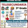 Programa Analítico Anual TELESECUNDARIA TERCER GRADO