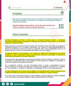 Documento informativo en español que explica el propósito y las ideas centrales de los 