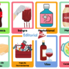 Una cuadrícula de tarjetas de colores que muestran imágenes de una botella de refresco, una bolsa de sangre, Pepto-Bismol, mayonesa, una pastilla de jabón, una caja de herramientas, una botella de vino con un vaso y un tazón de caldo de pollo, cada una etiquetada en español.