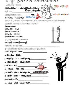 Tipos de Reacciones