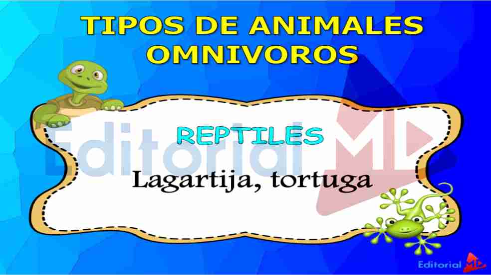 tipos-de-animales-omnivoros