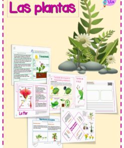 Título "Las plantas" con una ilustración de plantas verdes y flores blancas. A continuación encontrarás fichas educativas sobre las plantas, con diagramas, texto e imágenes en color para aprender.
