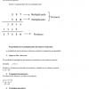 Un viaje hacia el mundo de la multiplicación 04