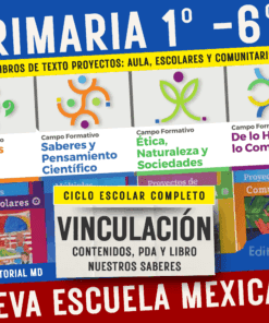 Vinculación de Contenidos, PDA y Proyectos por Grado (1° a 6°) – NEM