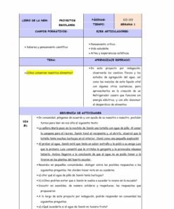 Un plan de lección detallado para PLANEACIÓN DE LA NEM TERCER GRADO (Semana 1 a la 4) en español titulado 