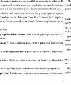 Un documento en español resume los principios clave de una cultura de paz, las actividades de la sesión y las fases de la propuesta, con secciones en viñetas y listas numeradas. Parte del texto está en negrita y algunas áreas están subrayadas.