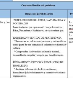 Tabla de contextualización de un problema, incluyendo contenido, rasgos del perfil de egreso y proceso de aprendizaje para el tema 