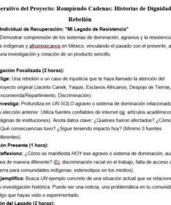 Un documento en español esboza un proyecto de recuperación llamado 