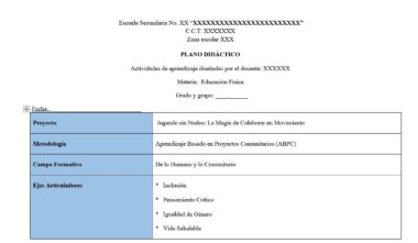 Tabla de un plan de clase de Educación Física, en la que se enumeran las secciones: Proyecto ("Jugando sin Nudos: La Magia de Colaborar en Movimiento"), Metodología (ABPC), y temas principales como la inclusión y la vida sana.