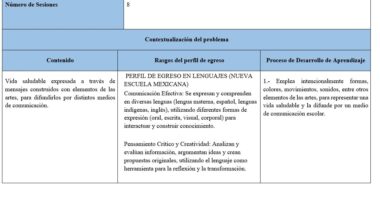 Una tabla con tres columnas: Contenido, Rasgos del perfil de egreso, y Proceso de Desarrollo de Aprendizaje. Las filas describen la vida sana, las habilidades de comunicación, el pensamiento crítico y los métodos de aprendizaje.