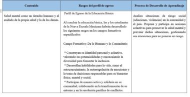Una tabla en español con tres columnas: "Contenido", "Rasgos del perfil de egreso" y "Proceso de Desarrollo de Aprendizaje", donde se habla de la salud mental como derecho, identidad, responsabilidad social y análisis de riesgos.