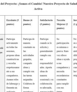 Una rúbrica en español para un proyecto de salud mental, con criterios y valores en puntos de 1 a 5, que evalúa la participación del grupo, la colaboración y las descripciones para cada puntuación de excelente a insuficiente.
