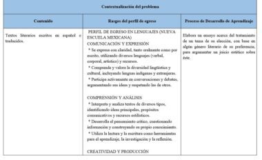 Una tabla en español con tres columnas: "Contenido", "Rasgos del perfil de egreso" y "Proceso de Desarrollo de Aprendizaje". La tabla describe los objetivos y procesos para analizar y producir textos literarios.