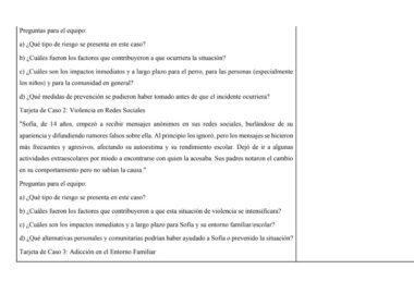 Una hoja de trabajo en español con preguntas sobre estudios de casos acerca de tipos de riesgo, impactos y factores contribuyentes, con un ejemplo específico sobre una niña llamada Sofía que sufre violencia en las redes sociales.