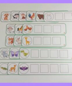 Busca, colorea y escribe nombres de animales 5 WhatsApp Image 2026 06 02 at 2.23.41 PM
