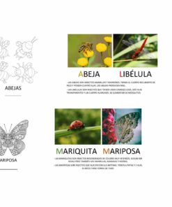 Guía ilustrada con dibujos lineales y fotografías de insectos como parte del **Proyecto Primavera Infantil**. Fila superior: abejas con una foto de una abeja sobre flores amarillas y una libélula roja. Etiquetas de texto: 