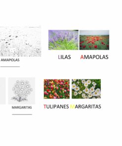 Un diagrama para un Proyecto Primavera Infantil muestra seis imágenes de diferentes flores, cada una etiquetada. Fila superior: izquierda: amapolas blancas y negras; Medio: lilas moradas y amapolas rojas. Fila inferior: izquierda: tulipanes y margaritas blancos y negros; Derecha: tulipanes rojos y margaritas blancas.