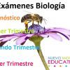 Exámenes Biología Secundaria