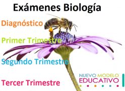 Exámenes Biología Secundaria