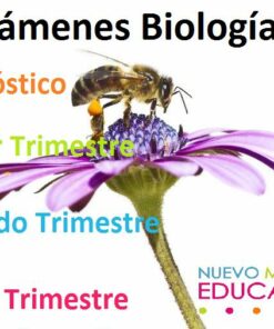 Exámenes Biología Secundaria