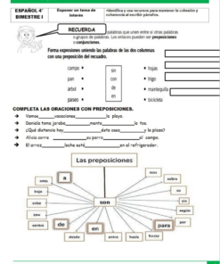 actividades de Cuarto grado de primaria2