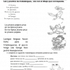 actividades de Cuarto grado de primaria4