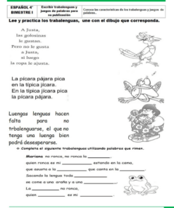 actividades de Cuarto grado de primaria4