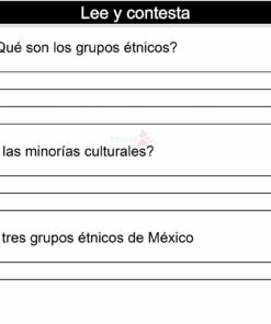 actividades de Grupos Étnicos Y Minorías Culturales