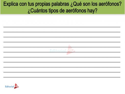 actividades de Instrumentos Aerófonos