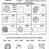 actividades de Segundo grado de primaria2