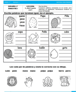 actividades de Segundo grado de primaria2