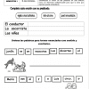 actividades de Segundo grado de primaria5