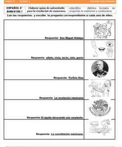 actividades de Sexto grado de primaria2