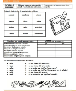 actividades de Sexto grado de primaria3