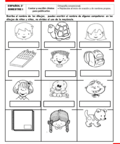 actividades de Tercer grado de primaria4