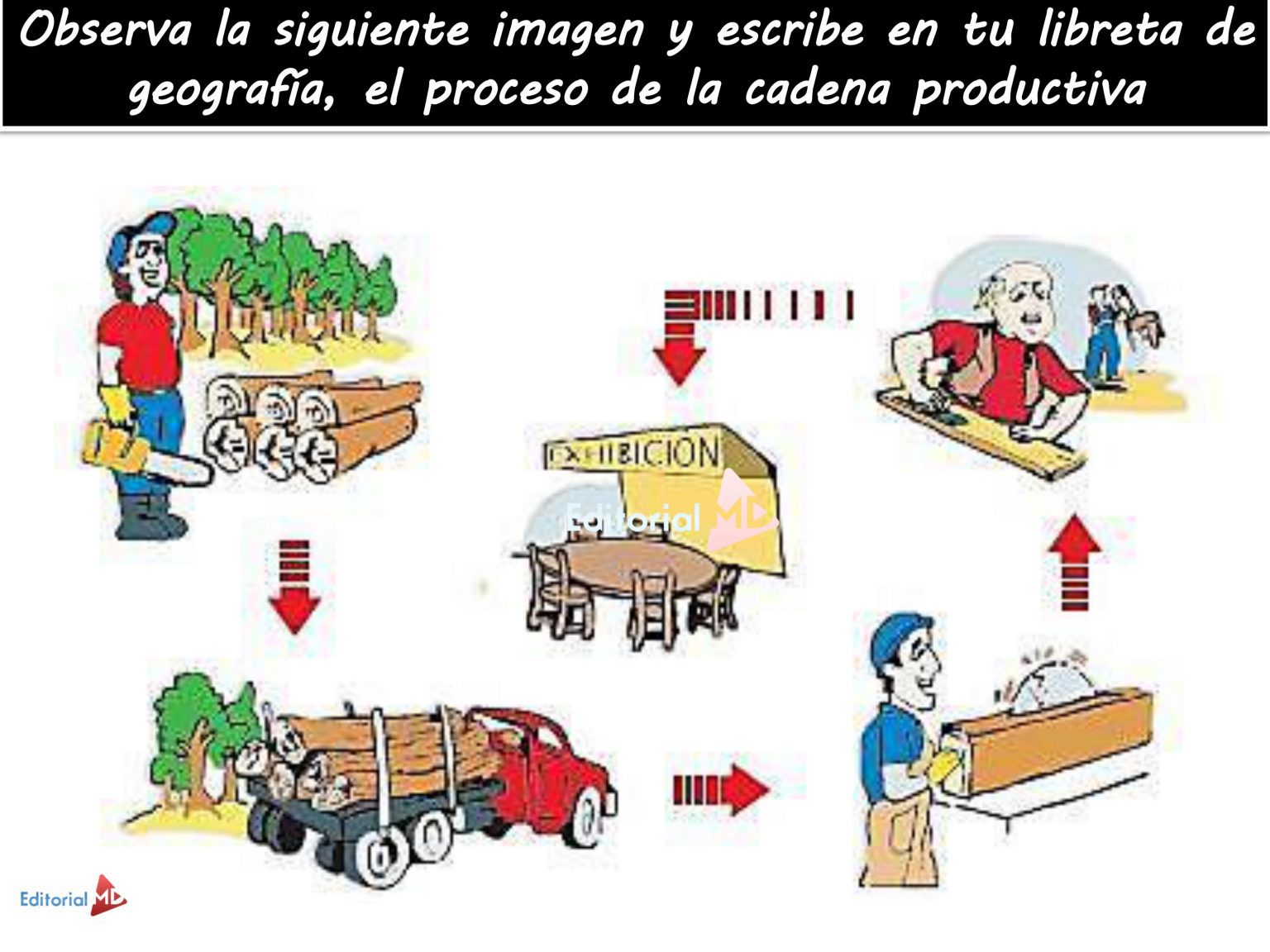 ¿Qué son las cadenas productivas? Para Niños | 2021