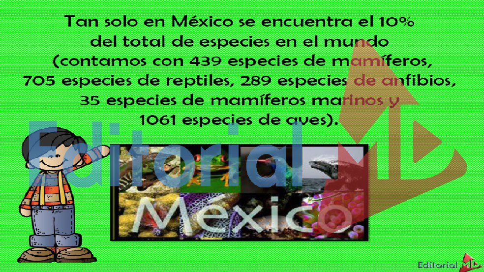 animales endemicos de mexico