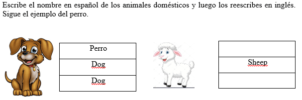 animales domésticos en inglés