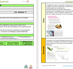 Dos páginas alineadas de un documento de planificación académica detallado y codificado por colores en español. La página izquierda describe la información del curso, incluidos los objetivos y el contenido de Planeación Biología NEM (Nueva Escuela Mexicana) 2° Trimestre. La página derecha muestra una cuadrícula de actividades, recursos y métodos de evaluación. Los iconos y logotipos están presentes.