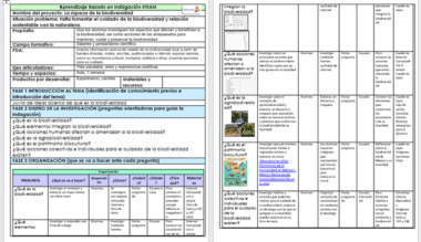 Un diagrama educativo detallado en español describe un plan de aprendizaje basado en proyectos (ABP) centrado en fomentar el cuidado de la biodiversidad a través de la interacción con la naturaleza. Con aspectos de biología, incluye actividades, materiales, recursos, cronogramas y objetivos dentro de un formato estructurado de dos páginas. El producto al que se refiere es Planeación Biología NEM (Nueva Escuela Mexicana) 2° Trimestre.